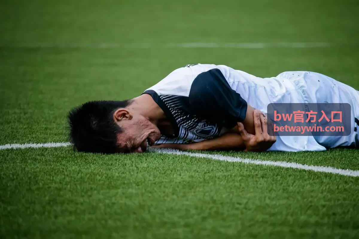 bw官方入口 常见问题整理